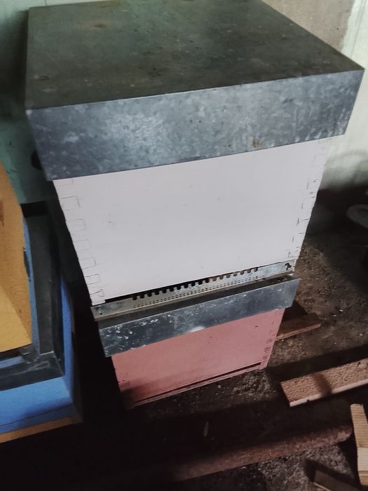 Vendo lusitanas e Lanhstrot