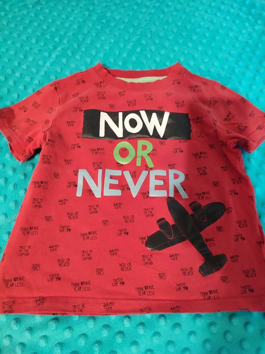 T shirt 104 Cocodriillo