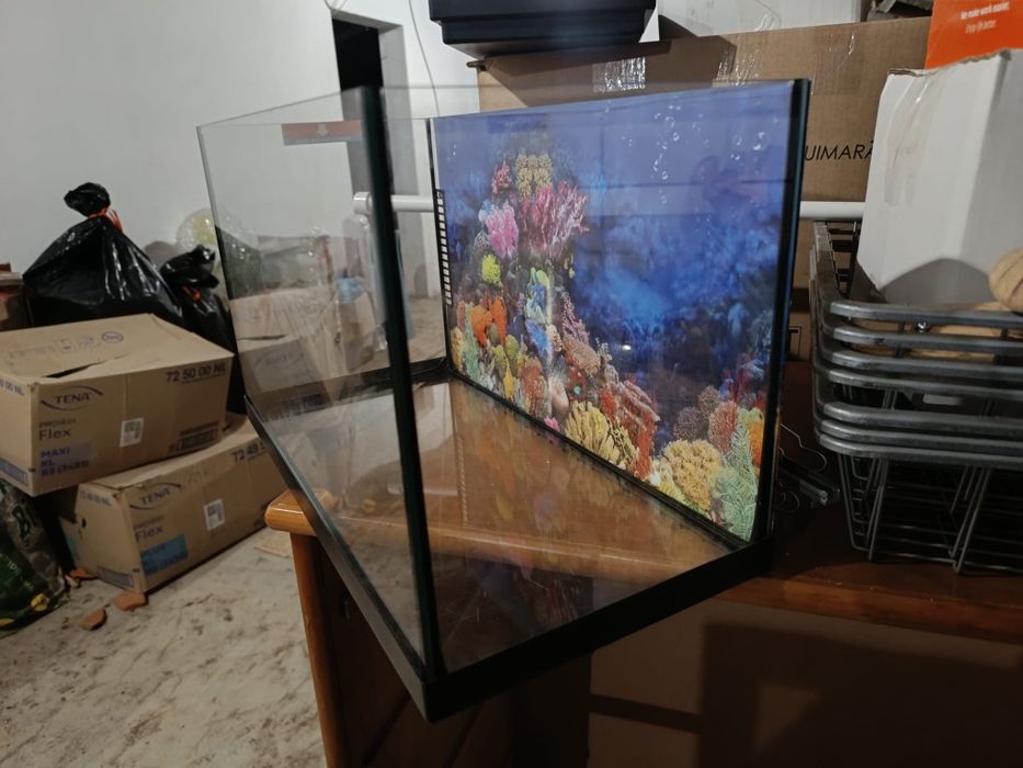 Aquário de peixes c/bomba