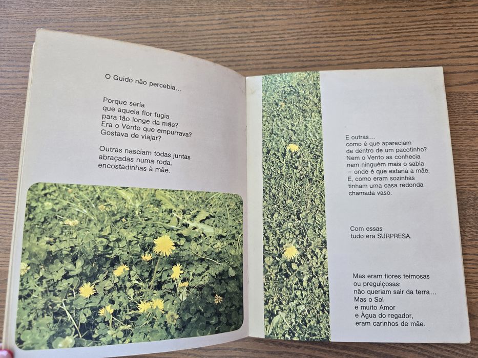 Livro "Amor Perfeito" Autografado