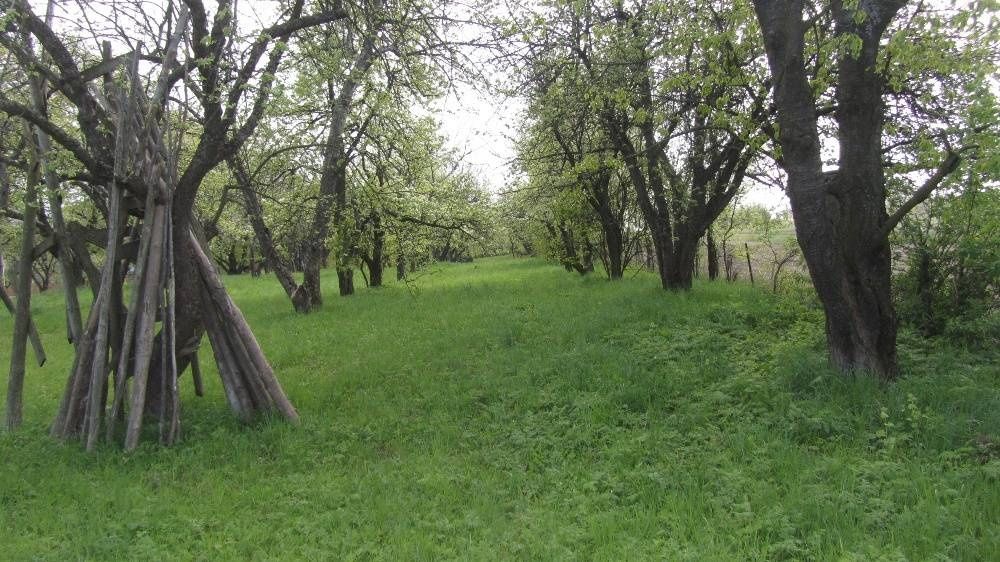 Продам 4 кімнатни будинок 35 км від Чернівців ,село Ржавенці