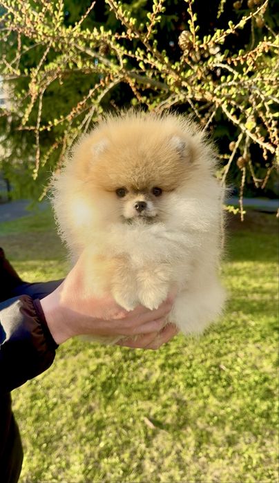 Фантастична дівчинка