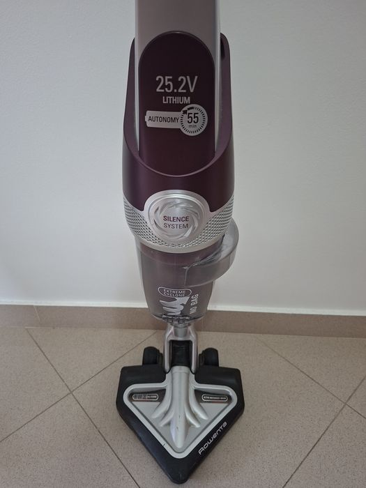 Aspirador vertical Rowenta