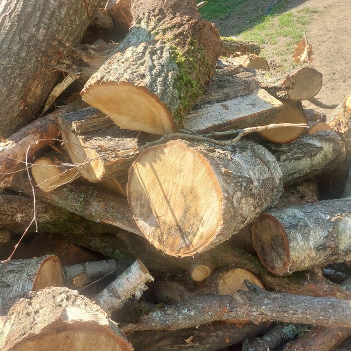 Sprzedam drzewo mieszane