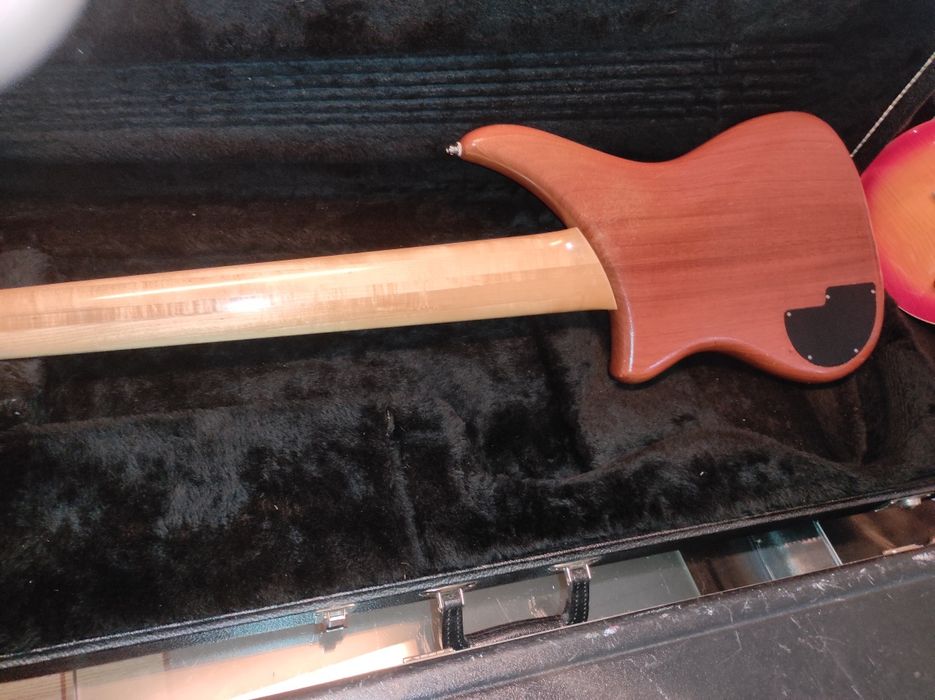 Alembic Epic 6strunowy,94'