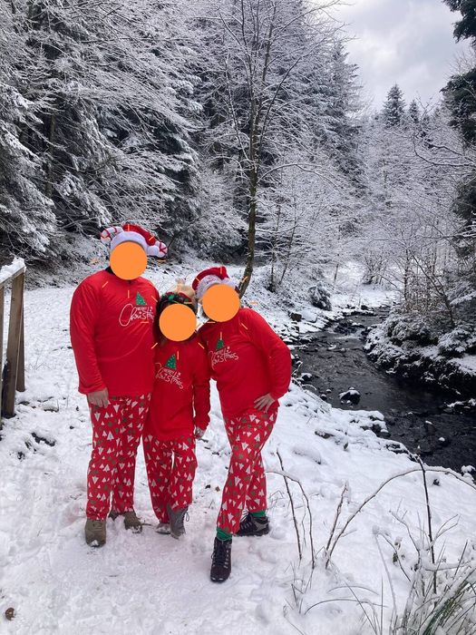 Різні сімейні новорічні піжами