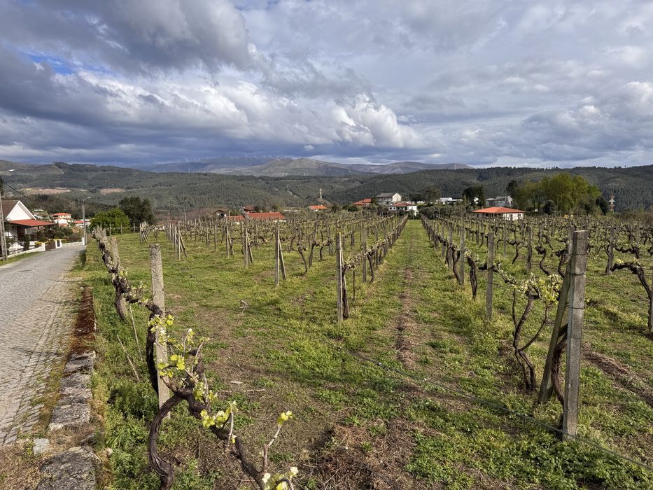 Moradias em Codesoso  (celorico de basto)