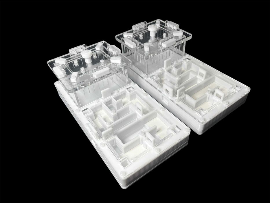 Мурашина ферма 220х110мм з гіпсом | Доставка по Україні, ЄС