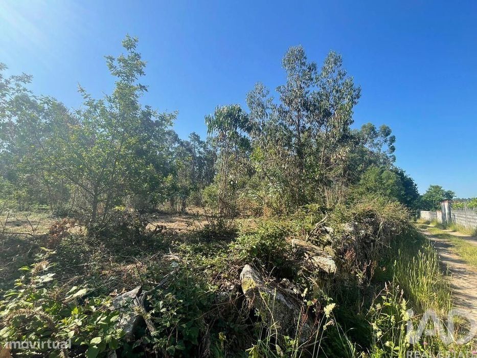 Terreno em Vila de Punhe de 4388,00 m2