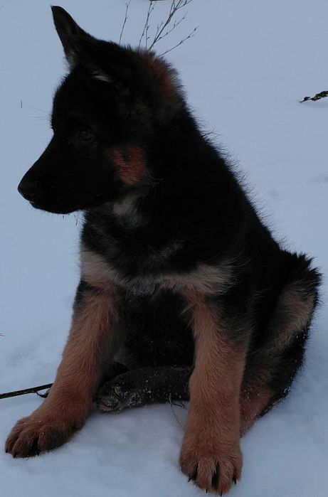 Чудові хлопці та дівчата