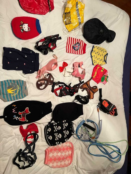 Pack de roupas + trelas para cão pequeno