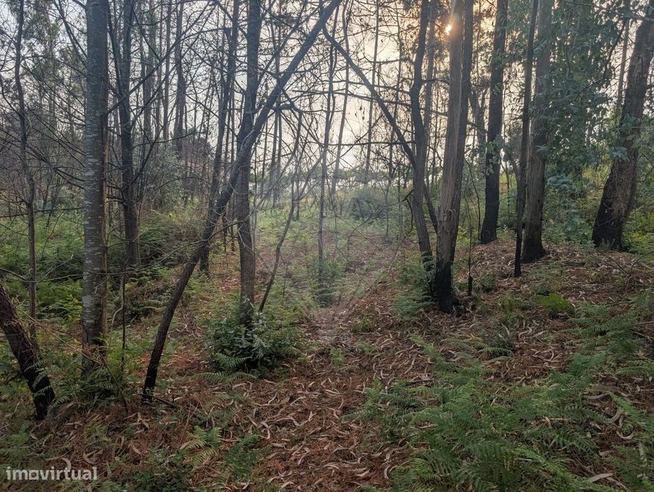 Terreno  para venda