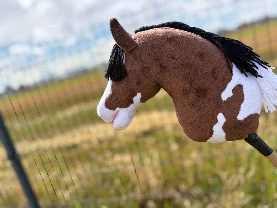 Hobby horse srokaty a4