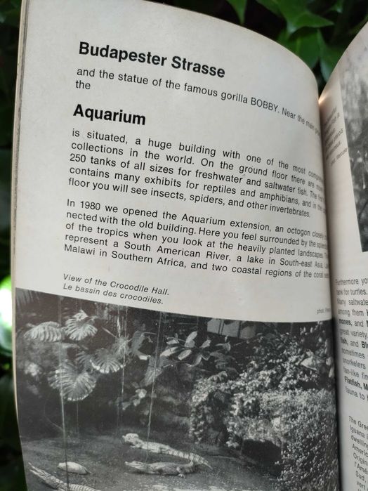 Berlin Zoo - Guide to the Berlin Zoological Garden64398289011075122