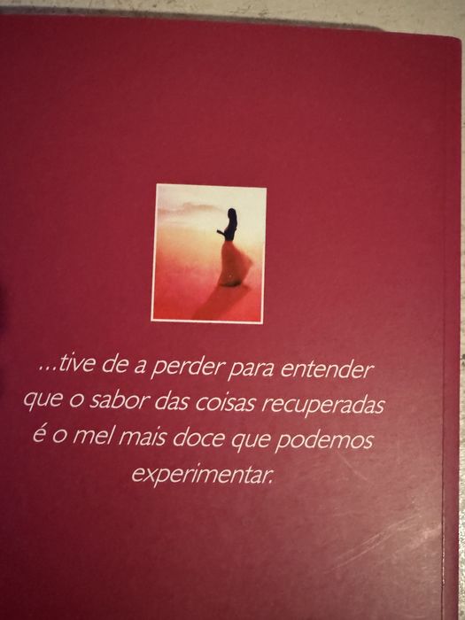 Livro- O Zahir - Autor Paulo Coelho