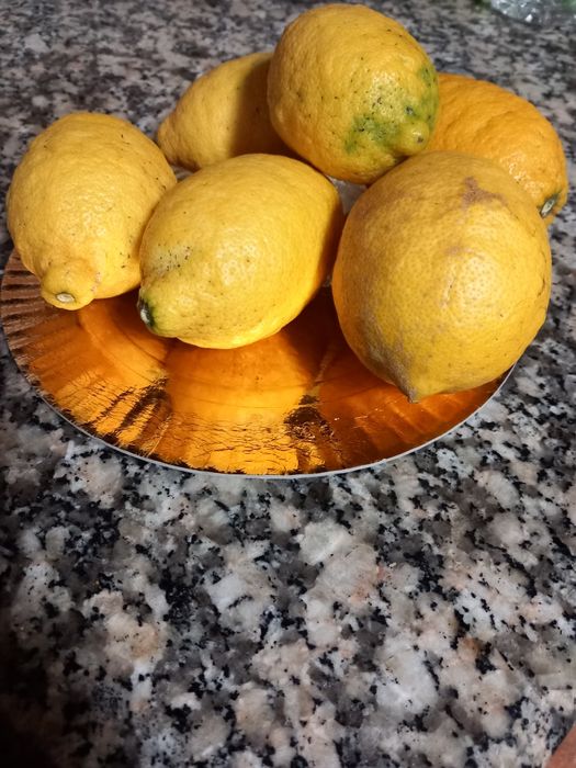Vendo limões caseiros
