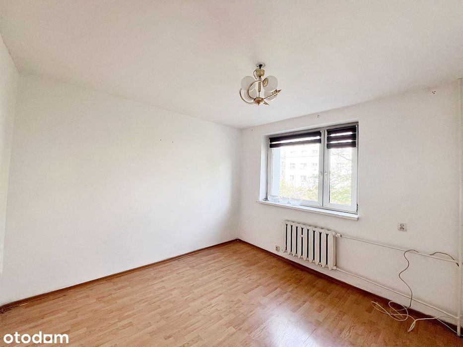 Gołonóg, 2 pokoje z balkonem w bloku, 1 piętro, CO, bez prowizji