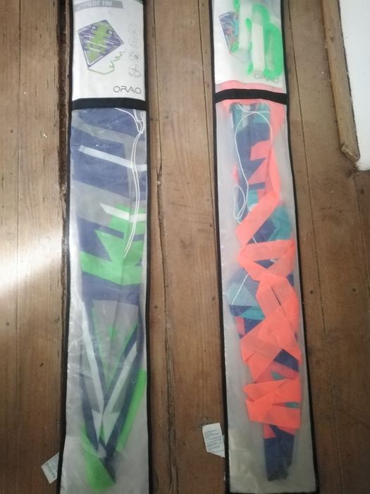 Conjunto dois papagaios evolutivos