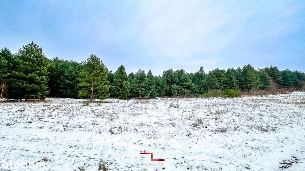 Widokowa działka 28,7 ar przy lesie gm. Olkusz