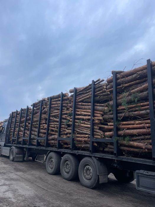 Продам дрова з доставкою