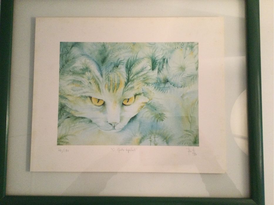 Serigrafia “O gato vegetal”