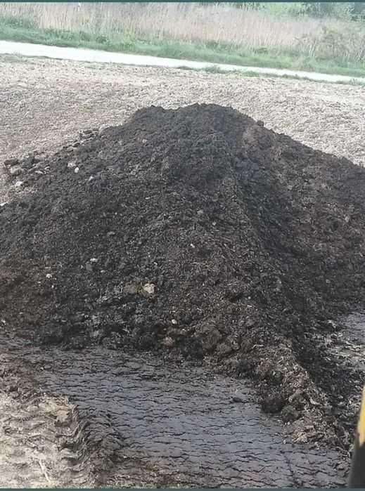 Podloze z pieczarek przelasowane