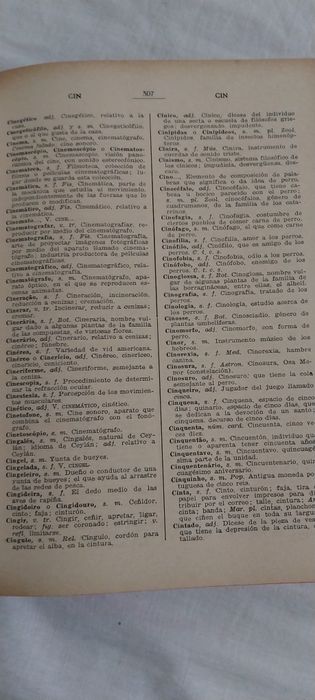 Dicionário de Espanhol - Português, 1977