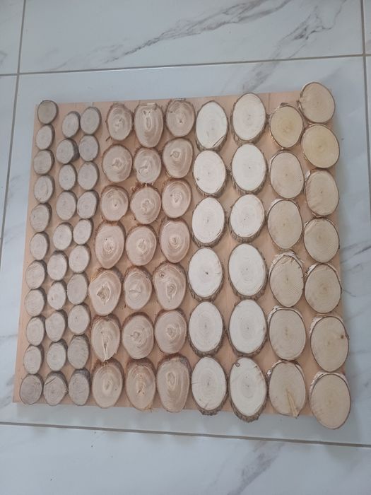 Декоративні зрізи ялівець,бук,ясінь,вільха,береза,дуб,смерека,ялиця,