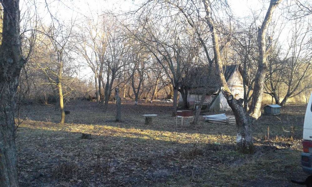 Продам будинок Київська обл.Фастівський р-н с Грузьке вул Брусилівська