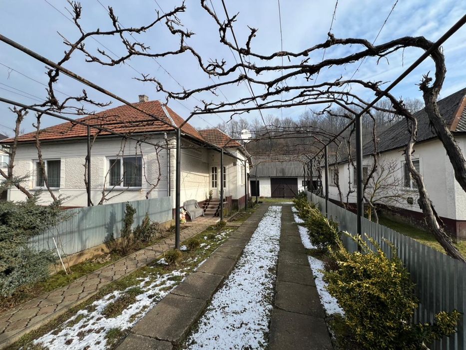 Продам будинок з ділянкою 38 соток
