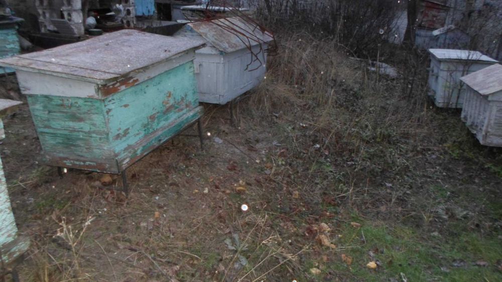 Собачья будка подороже и подешевле