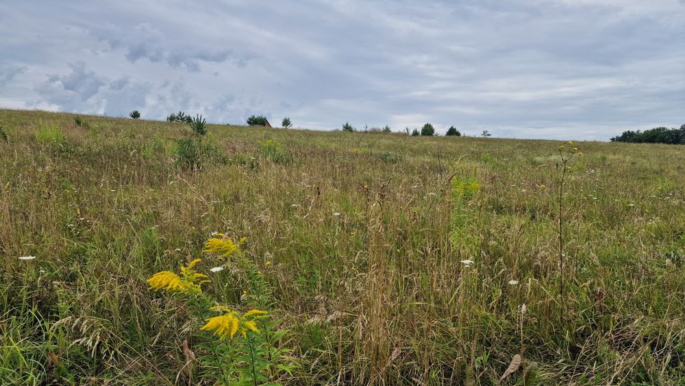 Продам земельну ділянку, пай
