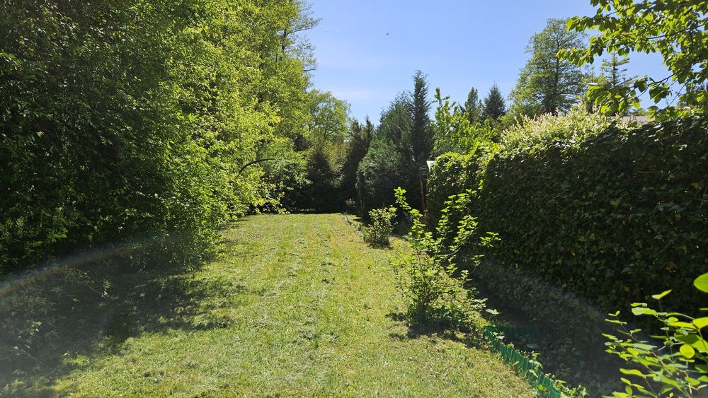Działka ROD Wisienka, Teofilów, Łódź