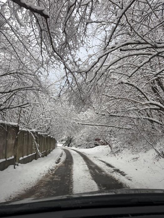 Продаж / Земля / ОСГ / Верхнє Синьовидне/ Львівська область