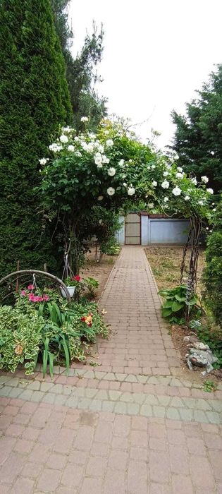 ПРОДАМ КОТЕДЖ, ЖИТЛО, БІЗНЕС між двома термальними курортами!!!