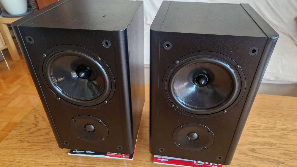 ALR BASIC 2 Świetne monitory