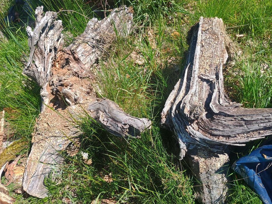 Pieńki do ogrodu na taras balkon