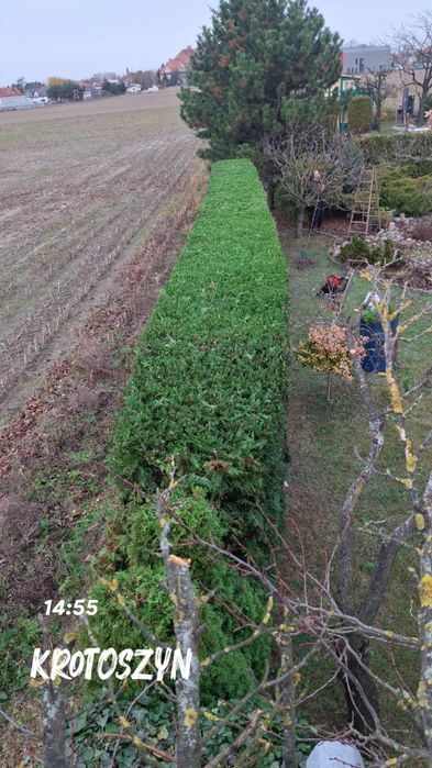 Usługi ogrodnicze, Uprawa glebogryzarką, rębakiem, wertykulacja