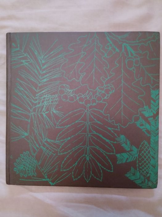 И.Стин, А. Фирсов, Ариадна Жукова Природа и фантазии