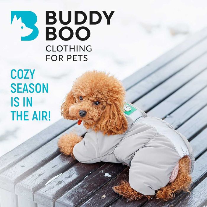 Графічний дизайнер. Логотип. Айдентика. Поліграфія. Упаковка.