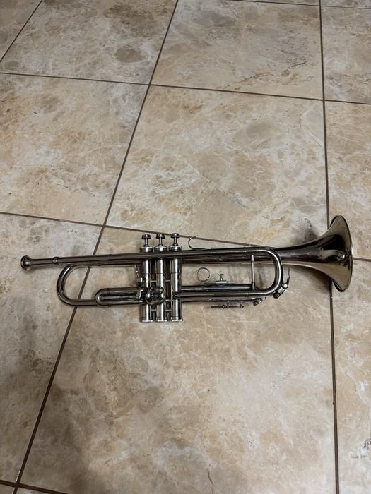 Труба музикальна помпова