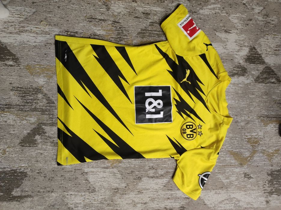 Haaland BVB Borussia Dortmund