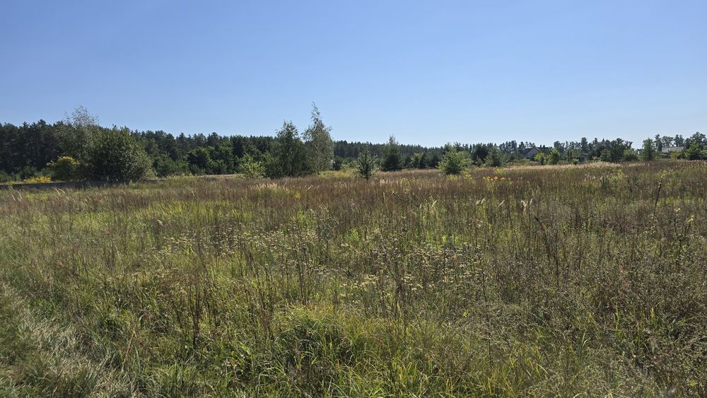 Продаж ділянки 35 соток с. Пряжів (26155278)