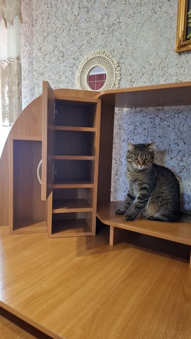 Продам комп'ютерний стіл