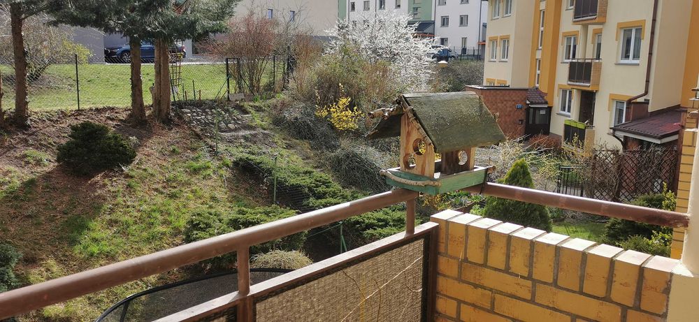 Przestronne 2-pokojowe mieszkanie z balkonem na osiedlu Bukowym