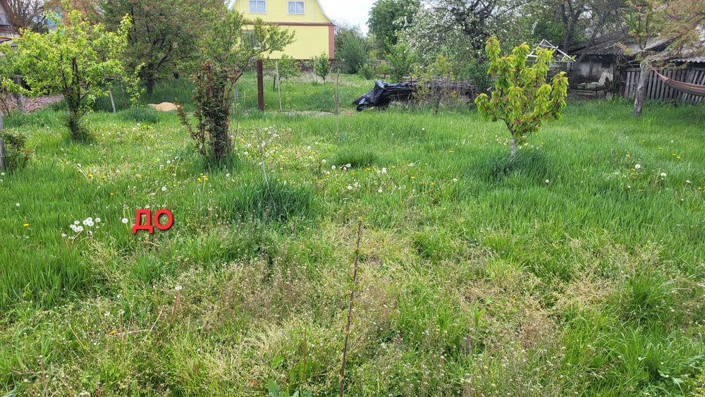 Косіння трави та інших зарослів