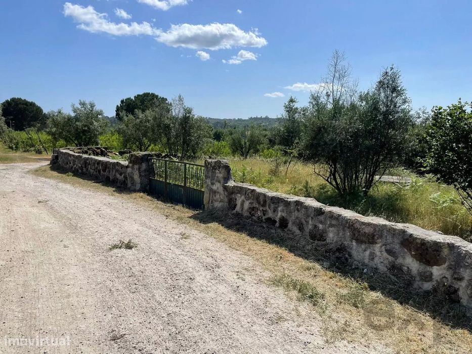 Rustic Land Plot of 1.6 Ha in Mangualde