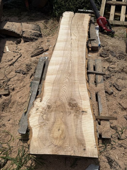 Foszty monolity jesionu deski