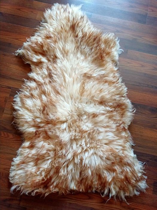 Продам шкіру овечу