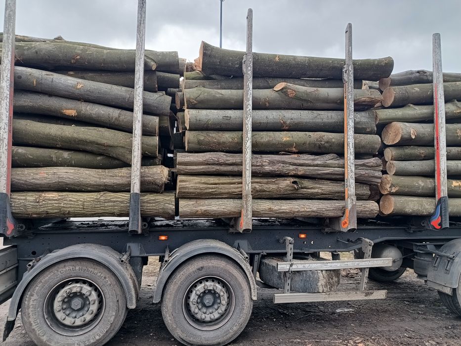Drewno kominkowe i opałowe